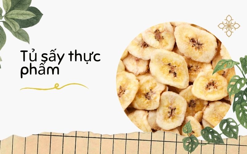 5 máy sấy thực phẩm chất lượng được tin dùng