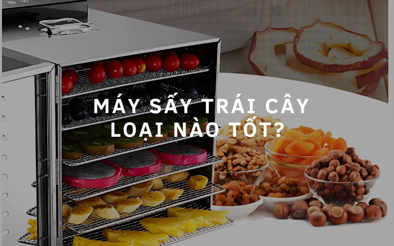 Máy sấy trái cây gia đình loại nào tốt? 