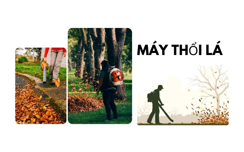 máy thổi lá cho người mới bắt đầu