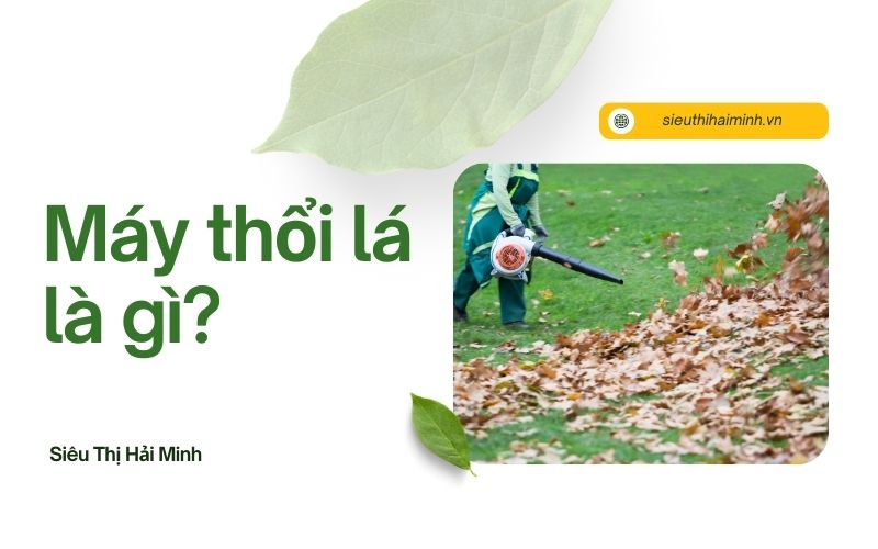 Máy thổi lá là gì? Lợi ích và tính năng mới nhất