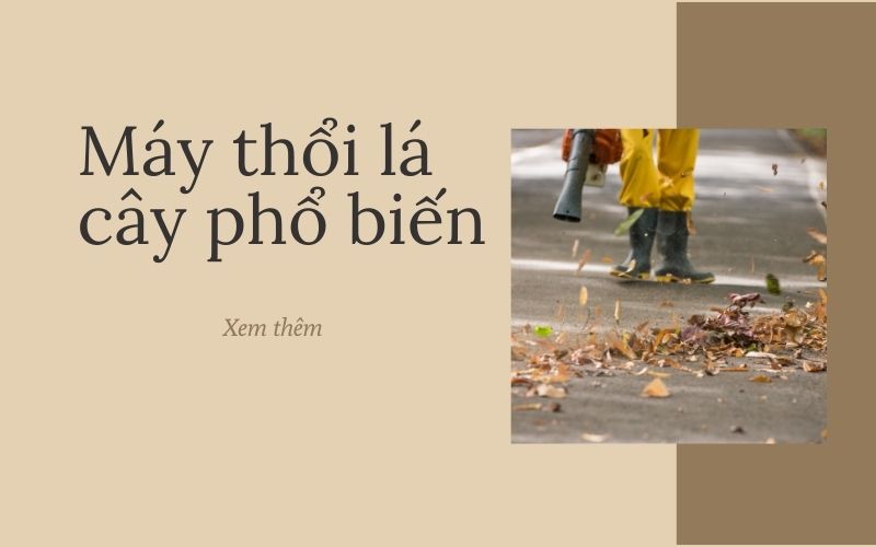 các loại máy thổi lá phổ biến tại Việt Nam