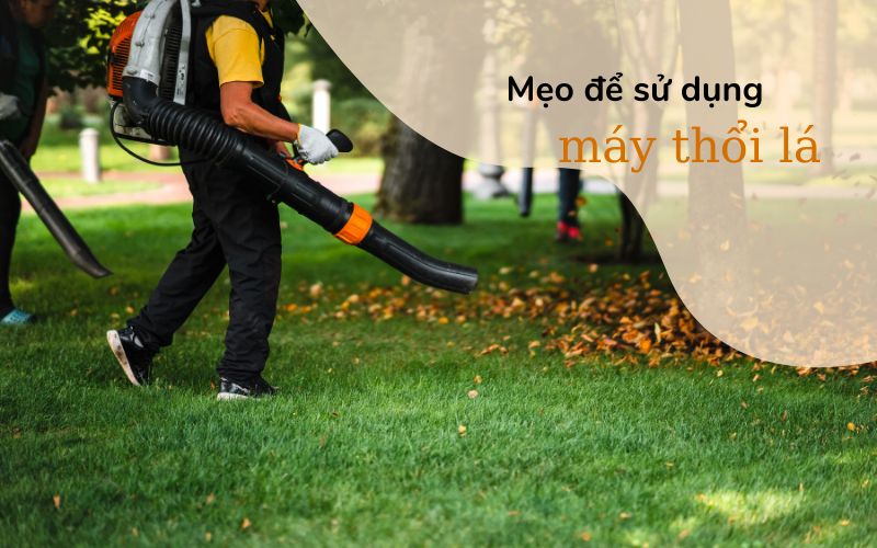 Mẹo để sử dụng máy thổi lá hiệu quả nhất