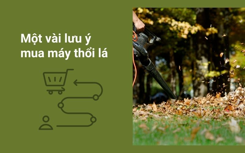 Một vài lưu ý khi mua máy thổi lá 
