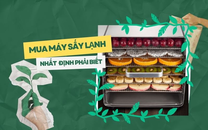 Mua máy sấy lạnh thực phẩm nhất định phải biết điều này