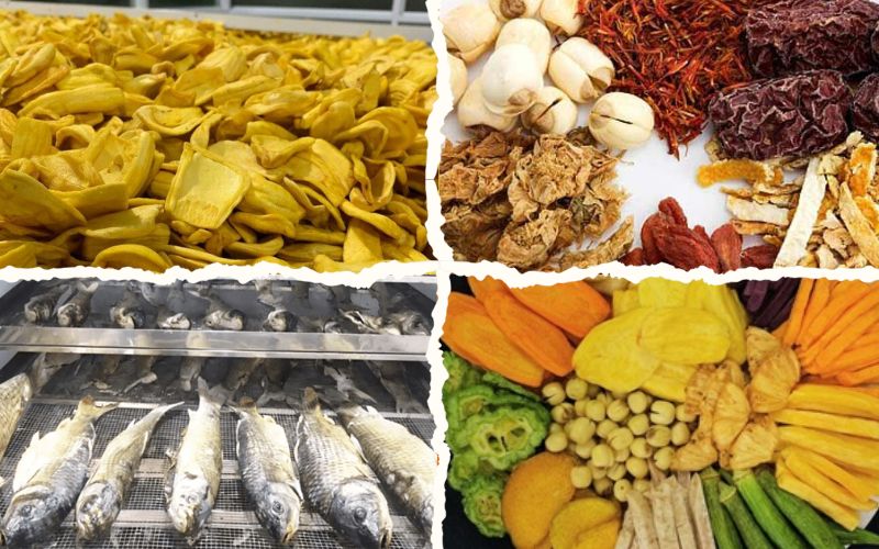 Những lưu ý khi mua máy sấy lạnh thực phẩm