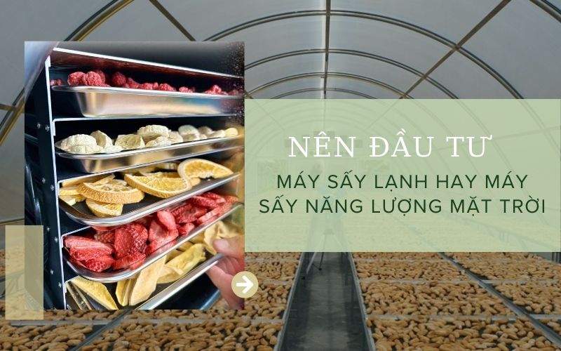 Nên đầu tư máy sấy lạnh hay máy sấy năng lượng mặt trời