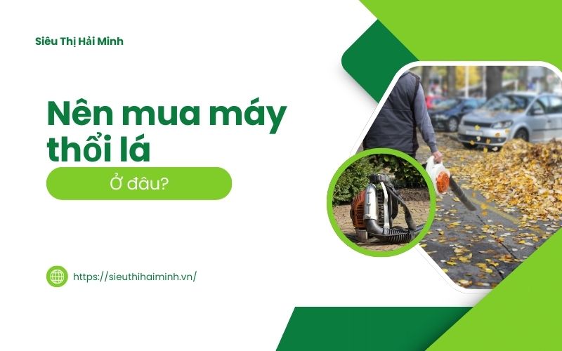 Nên mua máy thổi lá ở đâu chất lượng giá tốt?