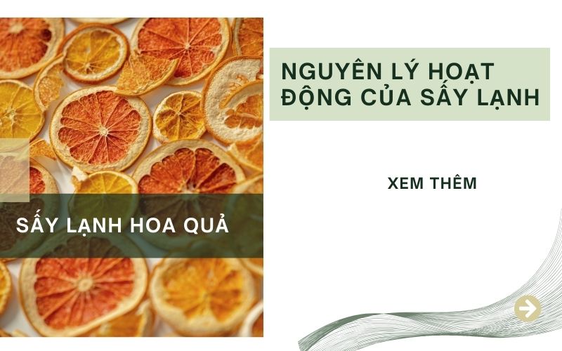 Nguyên lý hoạt động của sấy lạnh