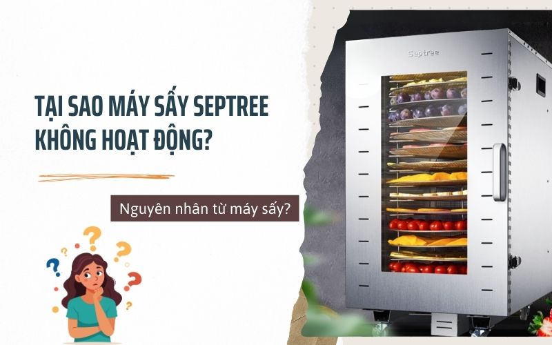 Nguyên nhân từ máy sấy