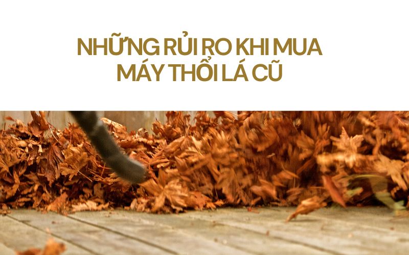 Những rủi ro khi mua máy thổi lá cũ