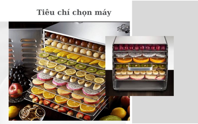 Những tiêu chí quan trọng khi chọn máy sấy thực phẩm mini