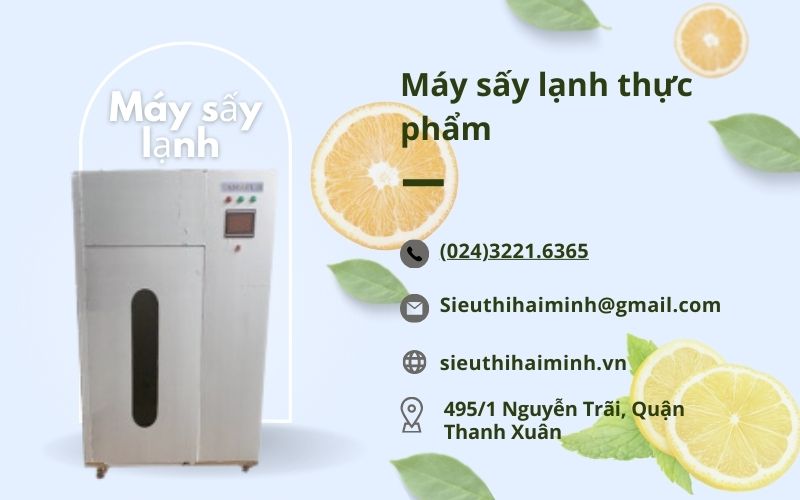 Phân Tích Máy Sấy Lạnh Thực Phẩm: Ưu Nhược Điểm và Lợi Ích Sử Dụng