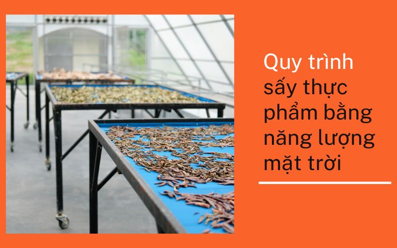 Quy trình sấy thực phẩm bằng năng lượng mặt trời