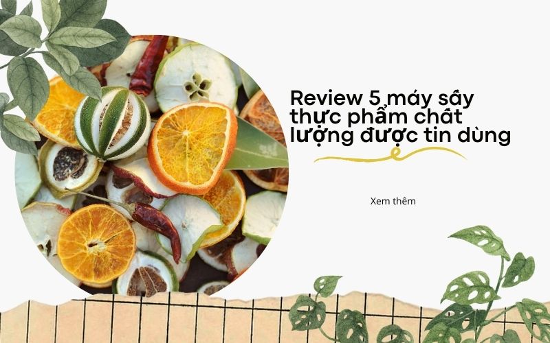 Review 5 máy sấy thực phẩm chất lượng được tin dùng