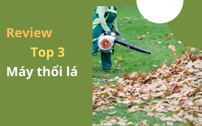Review top 3 Máy thổi lá tốt nhất trên thị trường