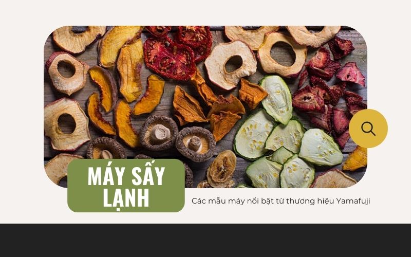 Review top 7 máy sấy lạnh chính hãng