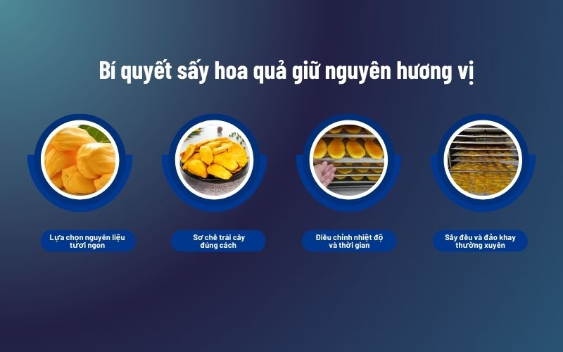 Bí quyết sấy hoa quả giữ nguyên hương vị