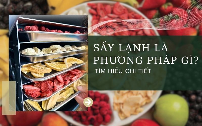 Sấy lạnh là phương pháp gì? Tìm hiểu chi tiết