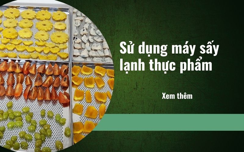 sử dụng máy sấy lạnh thực phẩm hiệu quả