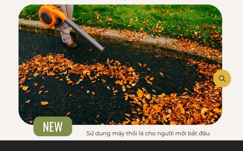 Sử dụng máy thổi lá cho người mới bắt đầu