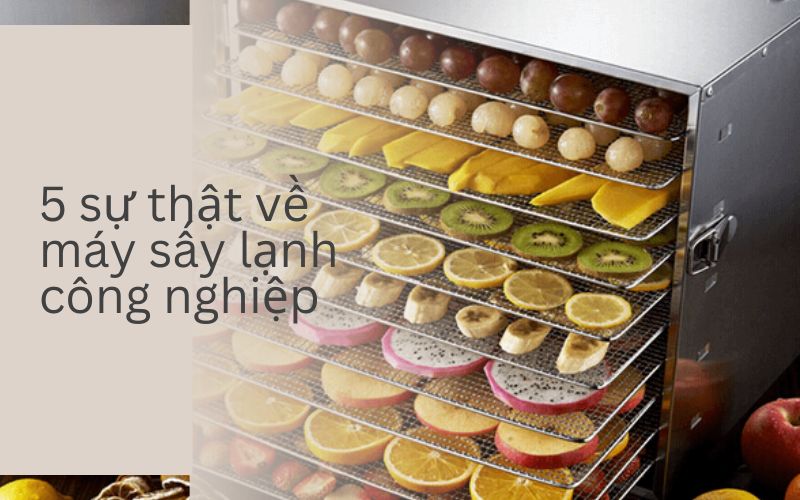 Sự thật về máy sấy lạnh công nghiệp