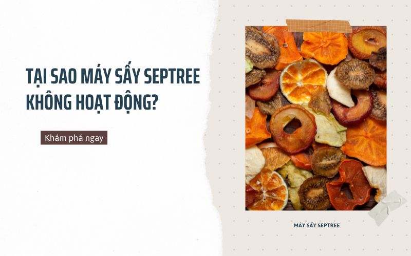 Tại sao máy sấy septree không hoạt động?