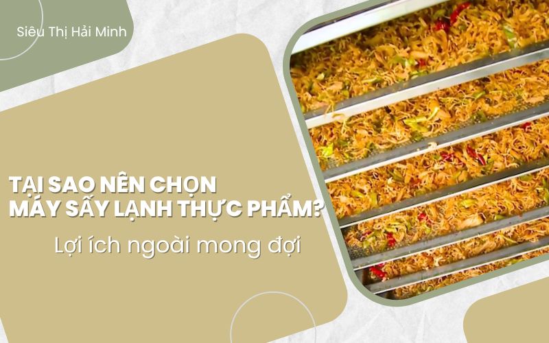 Tại sao nên chọn máy sấy lạnh thực phẩm? Lợi ích ngoài mong đợi