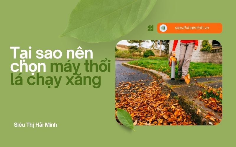 Tại sao nên chọn máy thổi lá chạy xăng