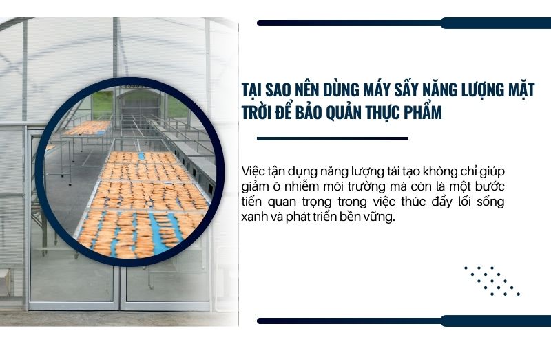 Tại sao nên dùng máy sấy năng lượng mặt trời để bảo quản thực phẩm