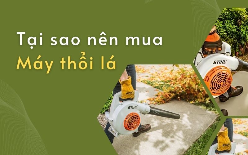 Tại sao nên mua máy thổi lá cho vườn nhà bạn