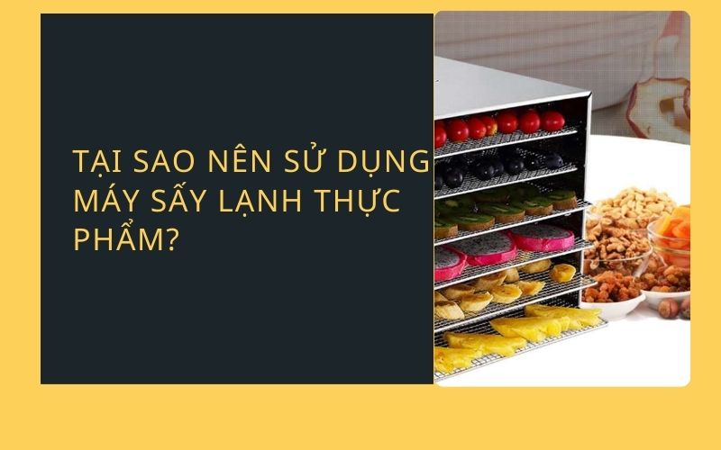 Tại sao nên sử dụng máy sấy lạnh thực phẩm?