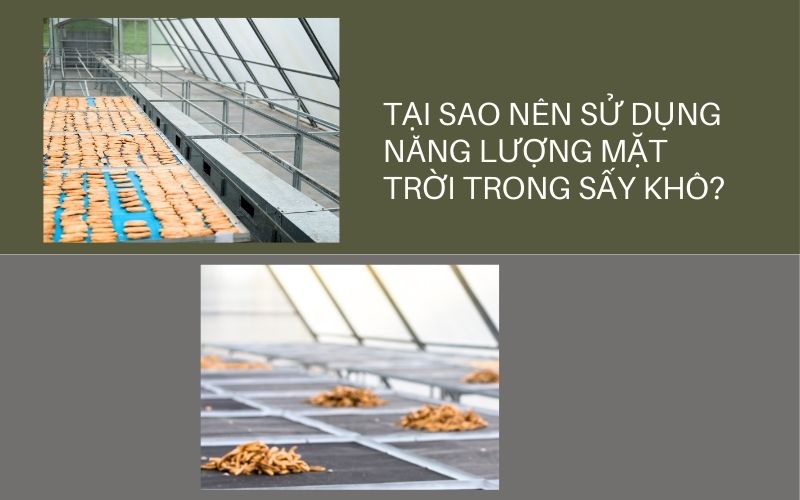 Tại sao nên sử dụng năng lượng mặt trời trong sấy khô?