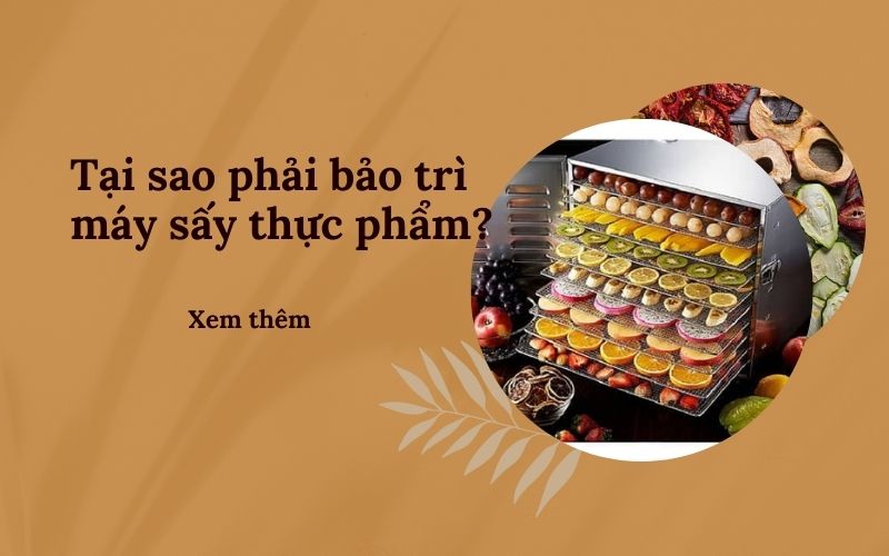 Tại sao phải bảo trì máy sấy thực phẩm?