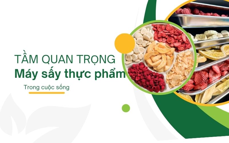 Tầm quan trọng khi sử dụng máy sấy thực phẩm