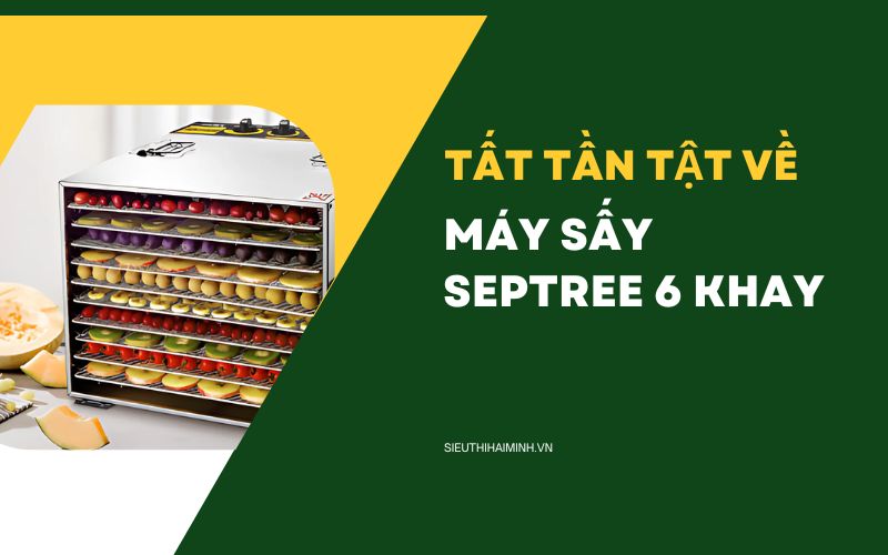 Tất tần tật về máy sấy Septree 6 khay