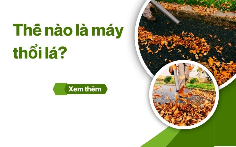 Thế nào là máy thổi lá?