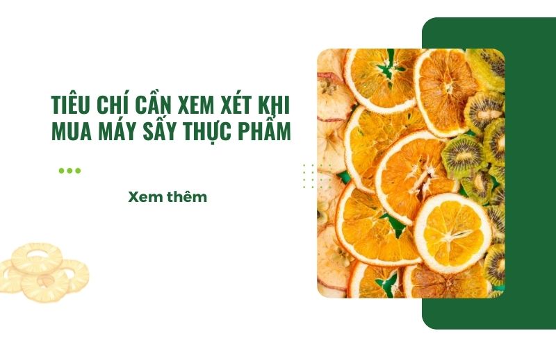 Tiêu chí cần xem xét khi mua máy sấy thực phẩm