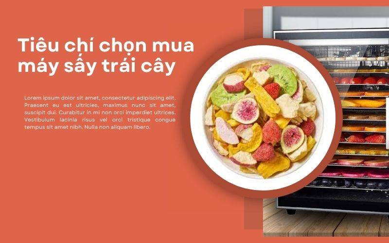 Tiêu chí chọn mua máy sấy trái cây