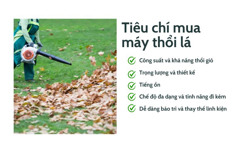 Top 5 tiêu chí quan trọng khi mua máy thổi lá cho gia đình