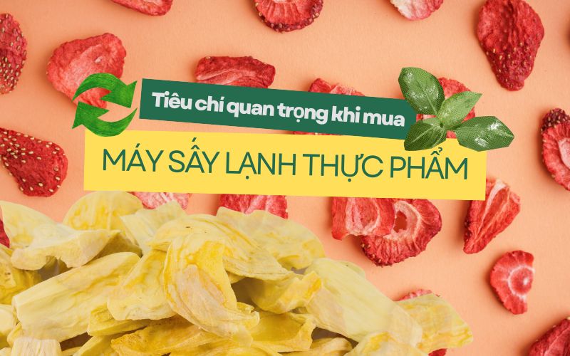 Tiêu chí quan trọng khi mua máy sấy lạnh thực phẩm