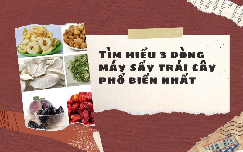 Tìm hiểu 3 dòng máy sấy trái cây phổ biến nhất