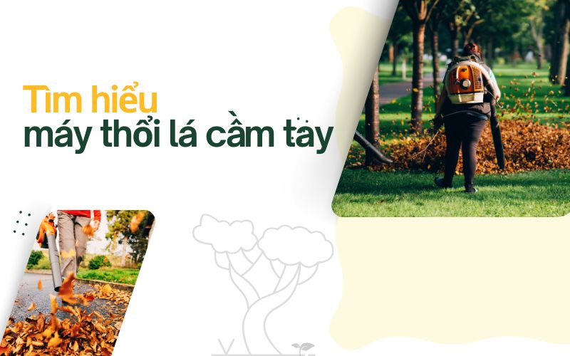 Tìm hiểu về máy thổi lá cầm tay