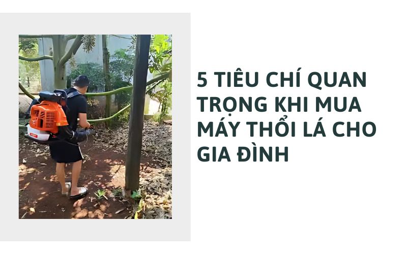 5 Tiêu chí quan trọng khi mua máy thổi lá cho gia đình