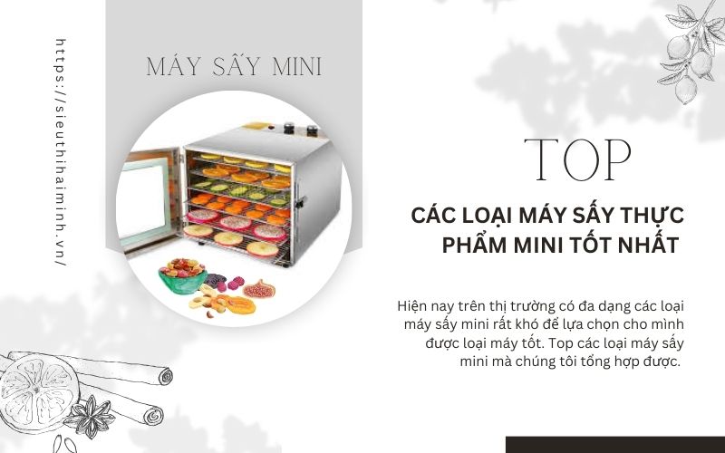 Top các máy sấy thực phẩm mini tốt nhất hiện nay