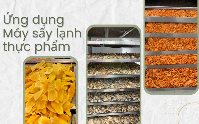 Ứng dụng của máy sấy lạnh thực phẩm trong thực tế