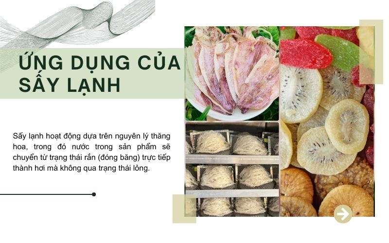 Ứng dụng của sấy lạnh
