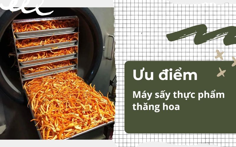 Ưu điểm của máy sấy thực phẩm thăng hoa