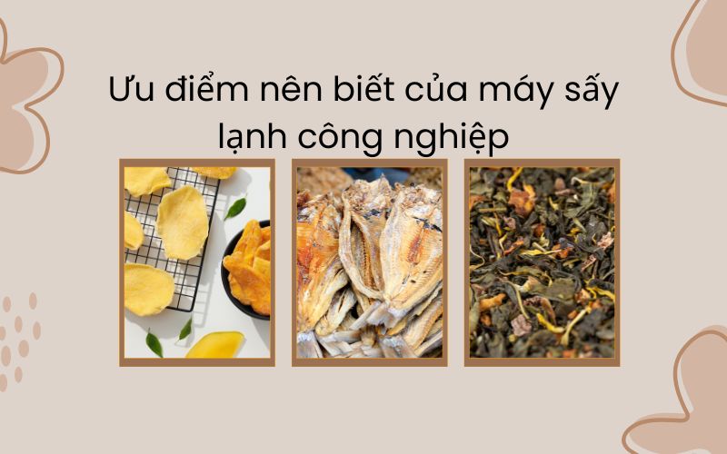 Ưu điểm nên biết của máy sấy lạnh công nghiệp