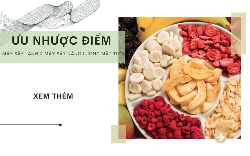Ưu nhược điểm của máy sấy lạnh thực phẩm