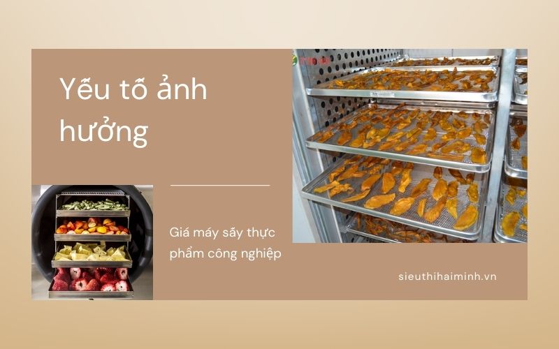 Yếu tố ảnh hưởng giá máy sấy thực phẩm công nghiệp